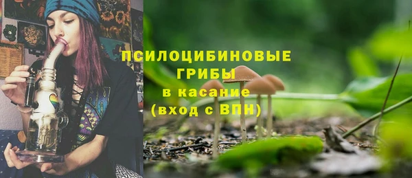 дживик Абинск