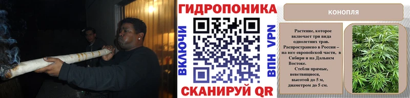 Канабис LSD WEED  omg маркетплейс  Балаково  дарнет шоп 